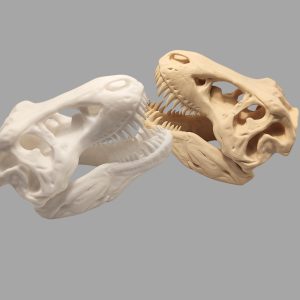 Craniu T-Rex 3D pe Postament